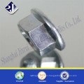 Zinc DIN 6923 Flange Nut